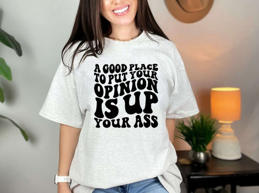 A Good Place To Put Your Opinion Tshirt